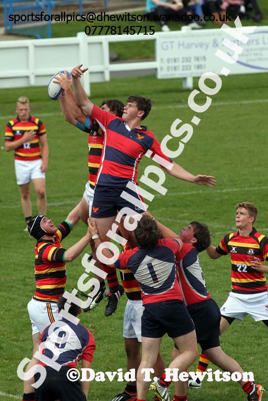 2014 Tynedale RFC School Rugby Festival. Photo: David T. Hewitson/Sports for All Pics